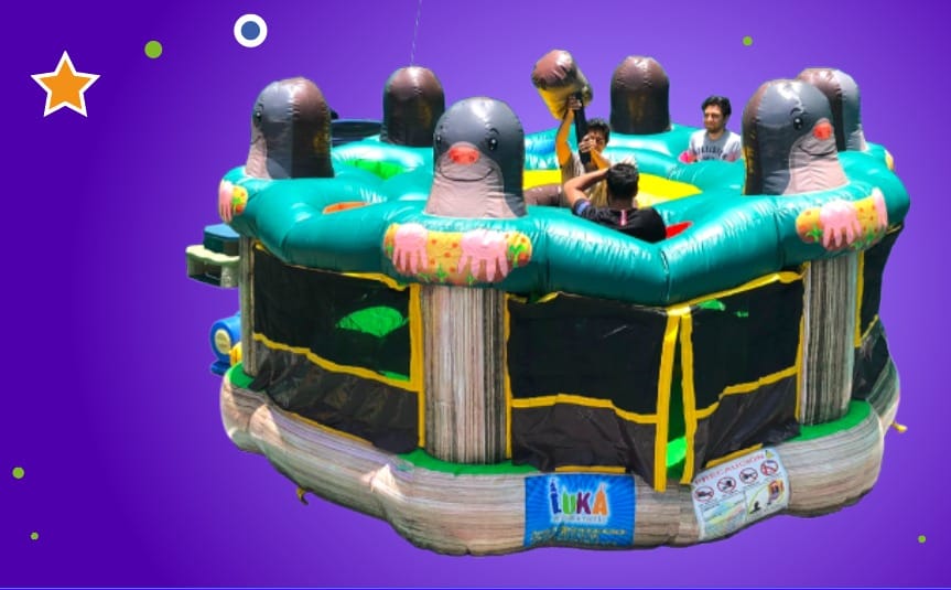 Imagen de WhatsApp 2024-01-23 a las 13.53.25_65e7db1c