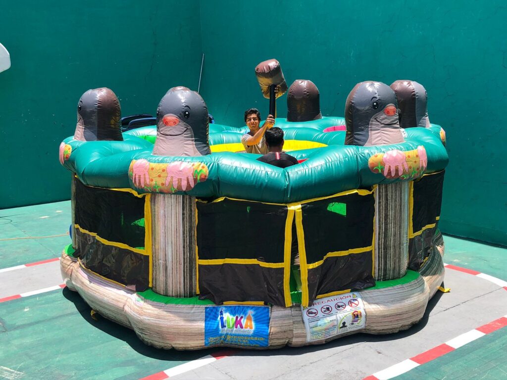 WhatsApp Image 2024-02-12 at 1.29.57 PM (1)